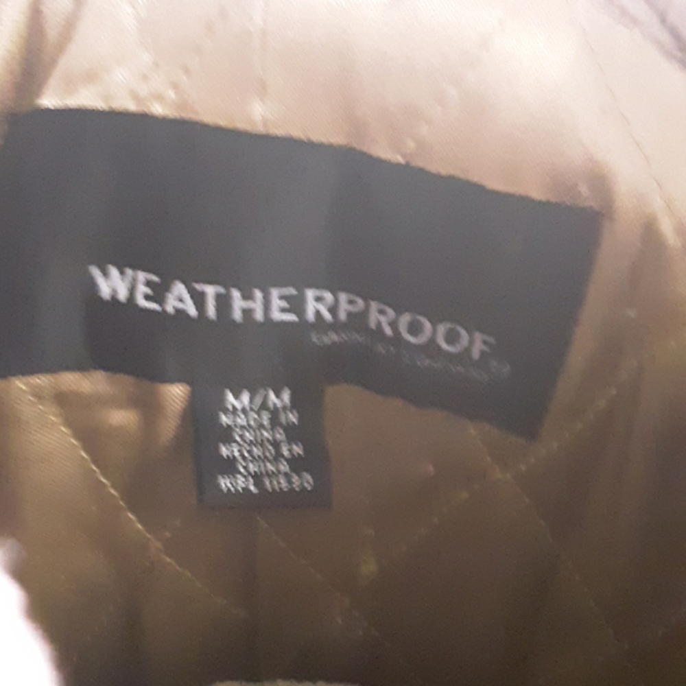 Jacket - Picture 2 of 4